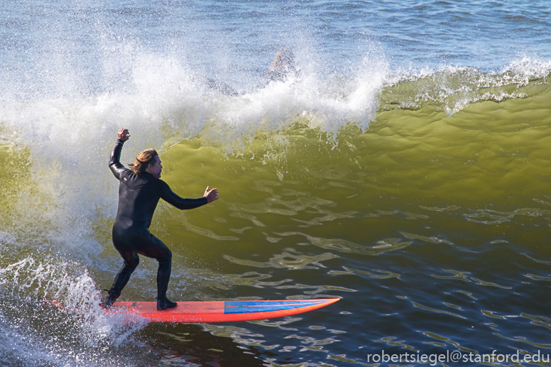 santa cruz, surfer